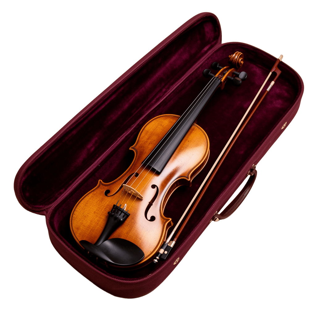Antique Violin Velvet Case