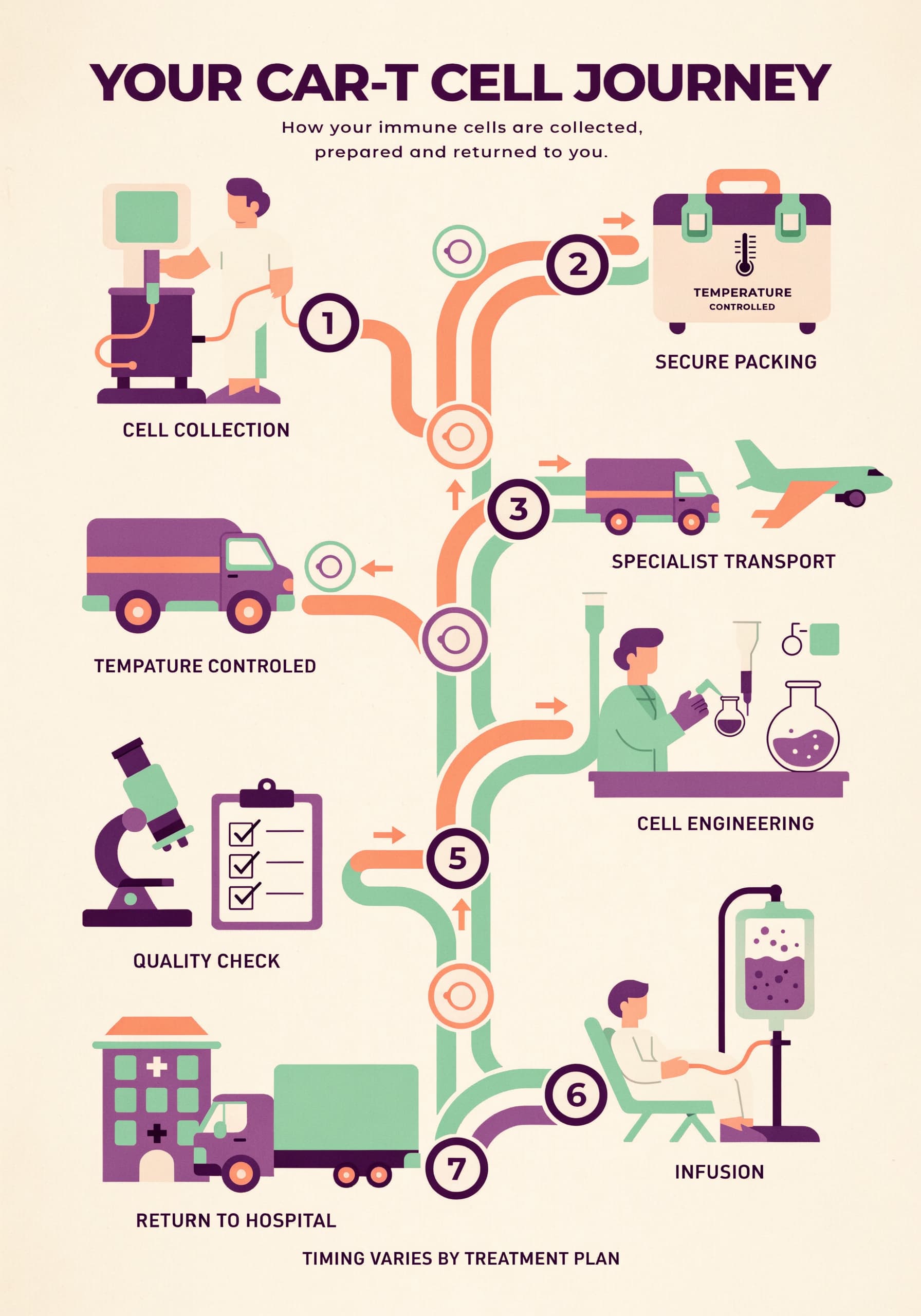 Cell Therapy Journey Infographic