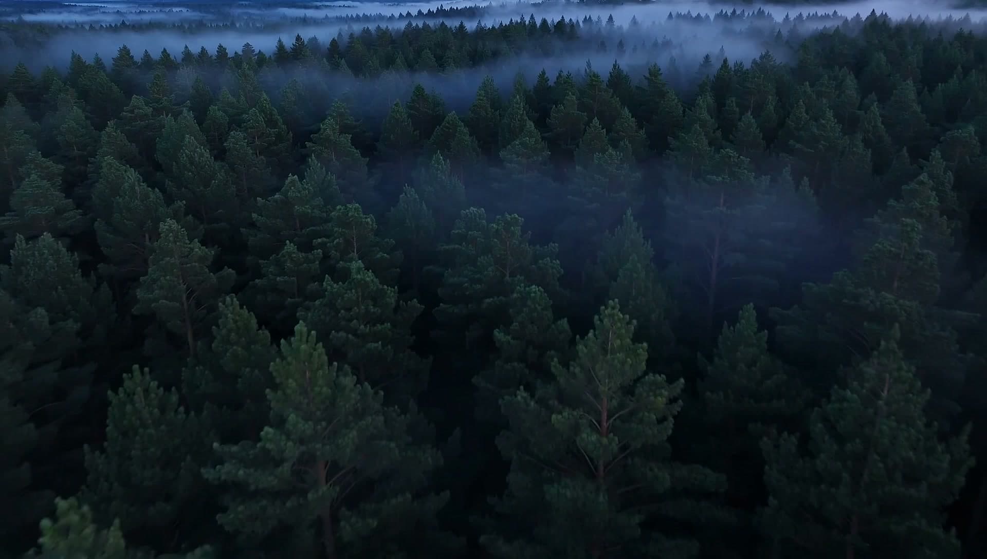 A drone flying over a landscape, generated by FLUX 3 Video
