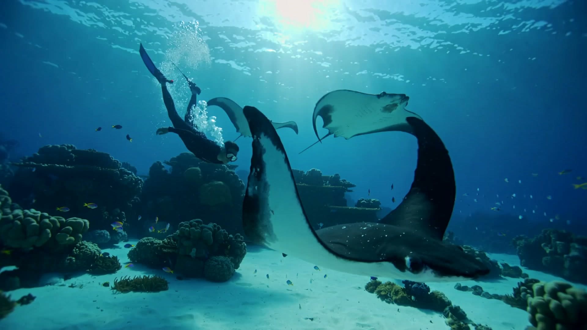 1fd3f090-09ad-444a-9505-a1dcb825f306