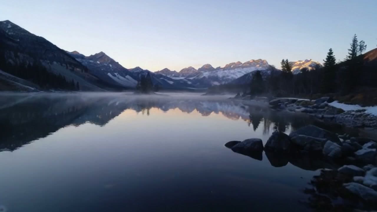 535ec6a8-13c4-44ce-bfc3-33431f1e62ea