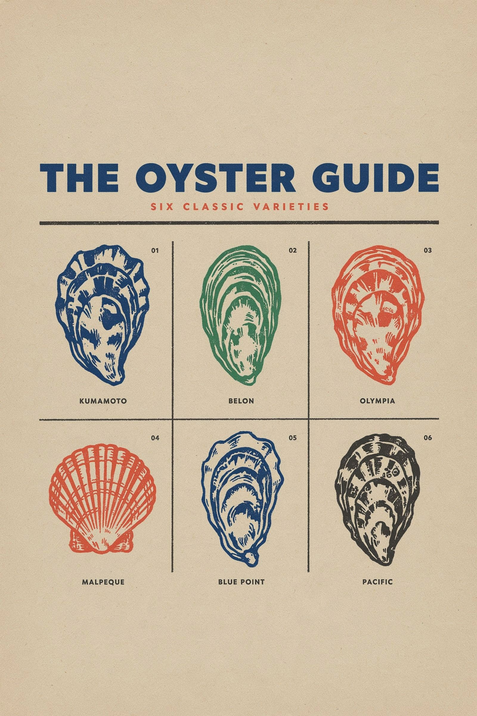Modernist Oyster Species Wall Chart