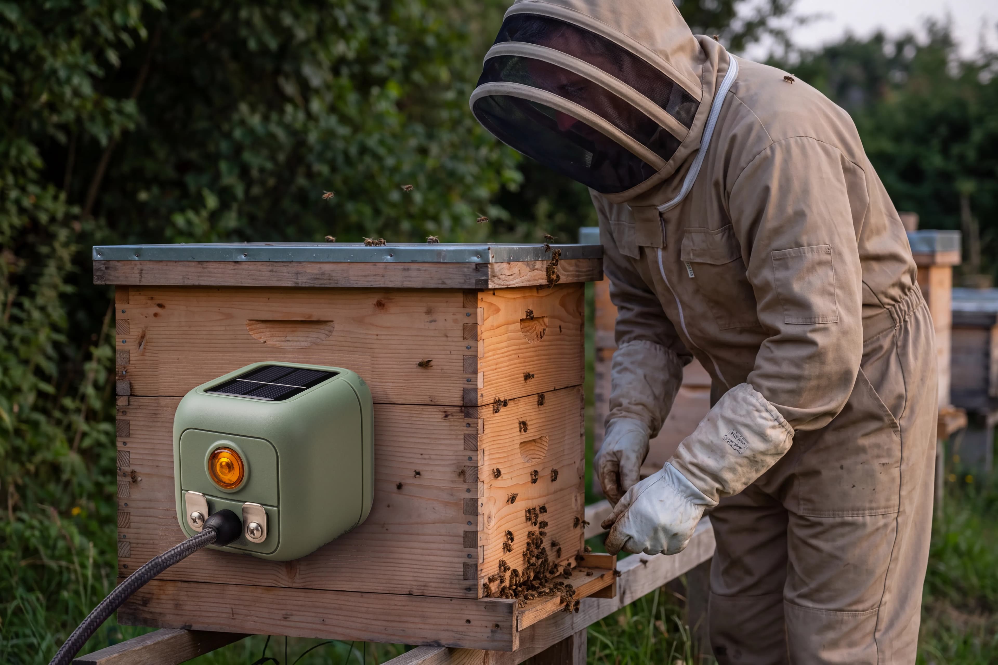 Apiary Sensor Lifestyle Photograph