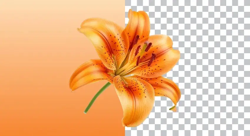 Background removal