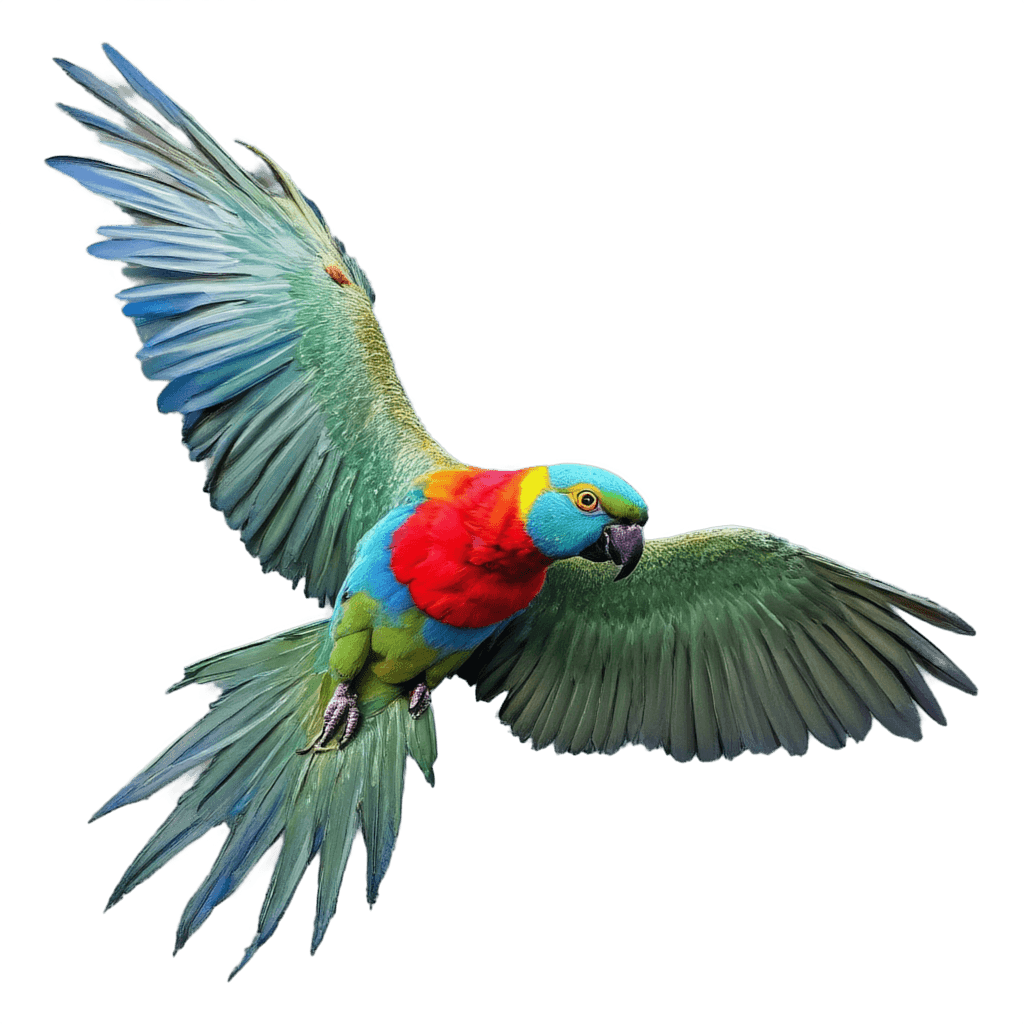 colorful parrot in mid-flight, wings spread