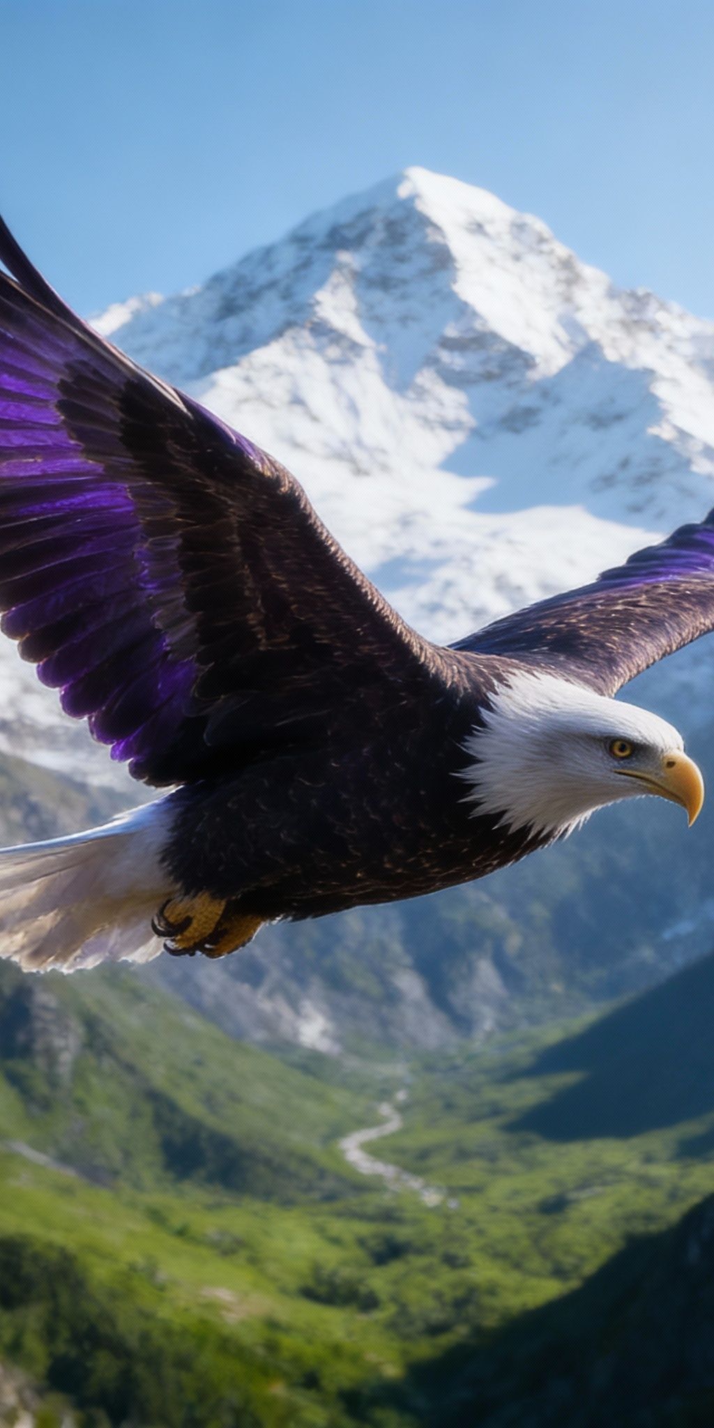 Bria Video Increase Resolution