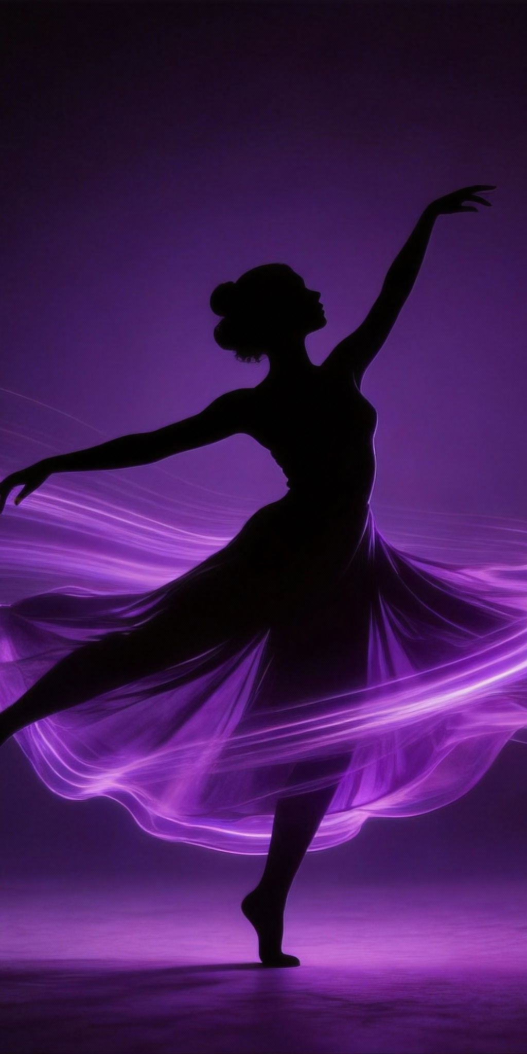 BiRefNet General 512×512 FP16