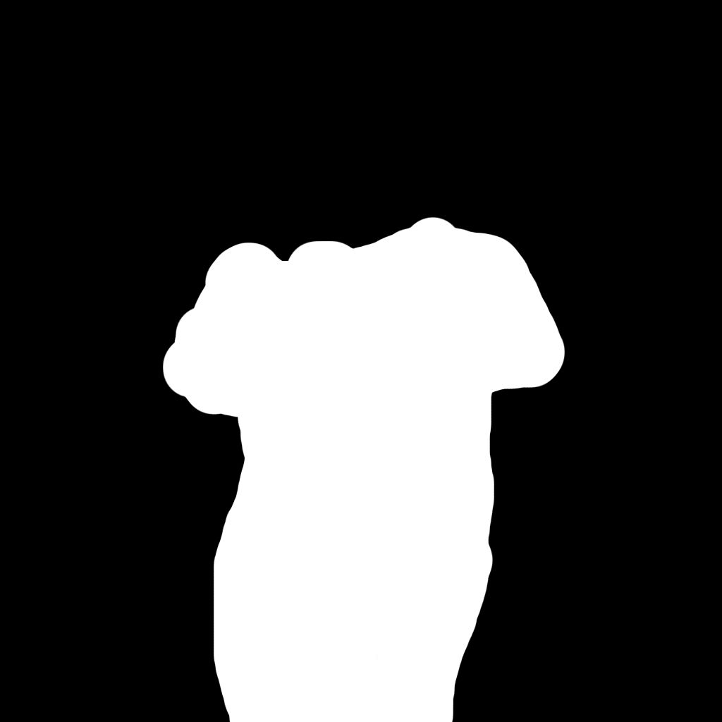 Black and white mask