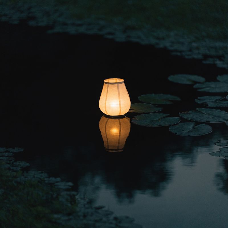 A glowing paper lantern resting on the dark surface of a night pond