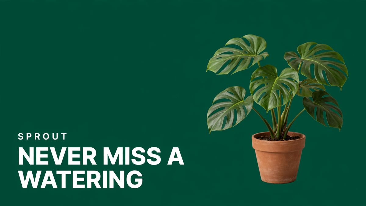 An app store feature graphic on a deep forest green field with NEVER MISS A WATERING in heavy condensed white capitals across the lower left, SPROUT in small white capitals above it, and a potted monstera filling the right third