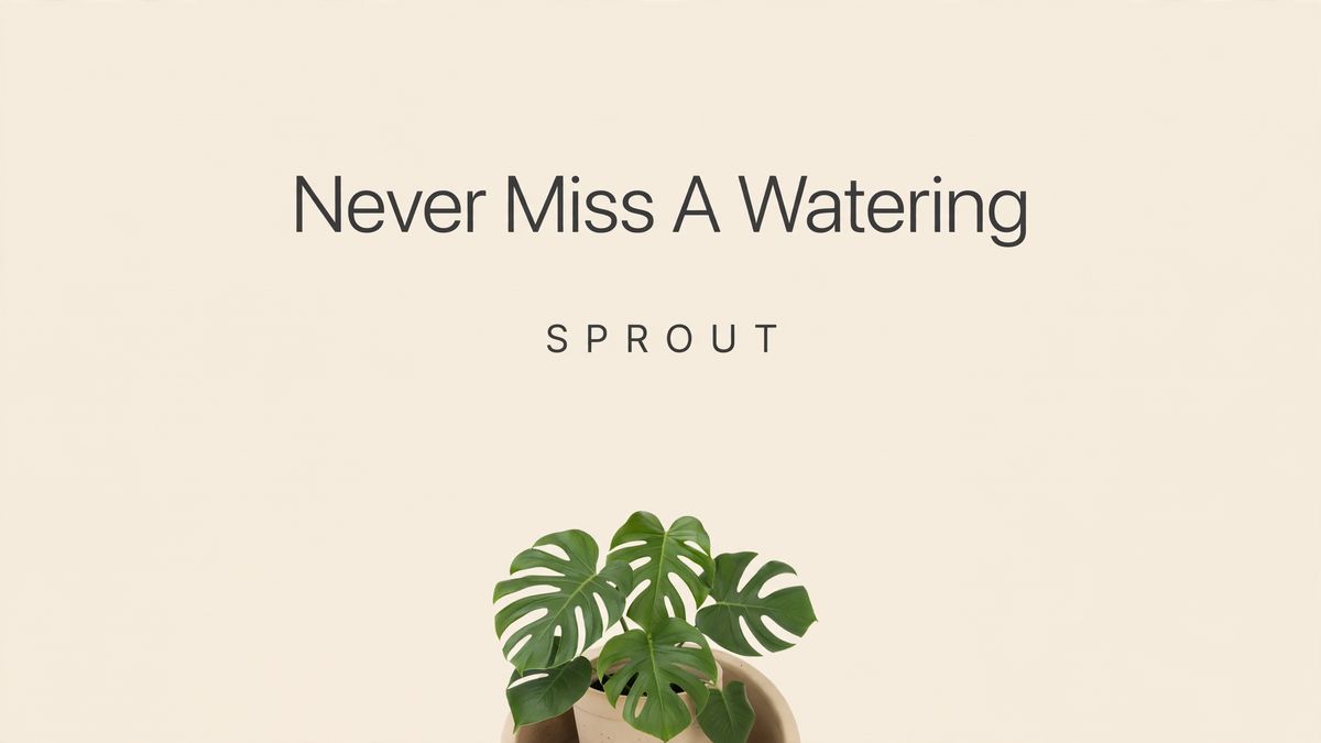 An app store feature graphic on a pale sand field with Never Miss A Watering in light charcoal title case centred in the upper half, SPROUT in small letter-spaced capitals beneath it, and a potted monstera cropped by the bottom edge