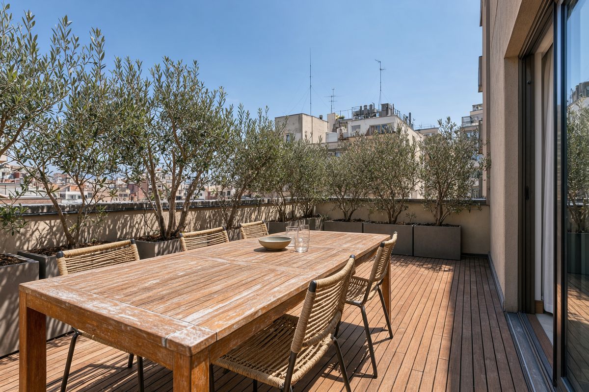 A rooftop terrace with a teak table, woven chairs and olive trees under bright midday sun